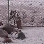 Zacisze Pod Brzozami Hébergement de vacances Kętrzyn