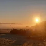 Zacisze Pod Brzozami