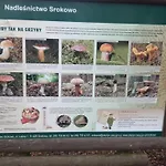 Hébergement de vacances Zacisze Pod Brzozami *