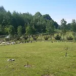 Zacisze Pod Brzozami Hébergement de vacances Kętrzyn