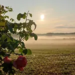 Zacisze Pod Brzozami *