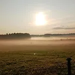 Zacisze Pod Brzozami