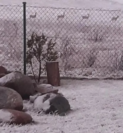 Zacisze Pod Brzozami Σπίτι διακοπών Kętrzyn