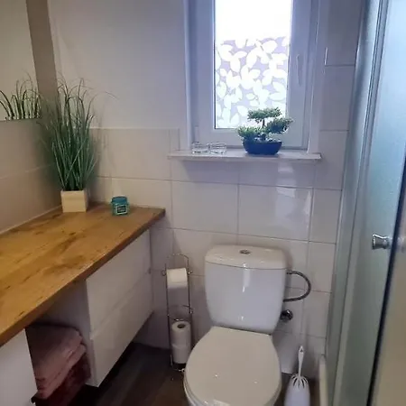 Zacisze Pod Brzozami *