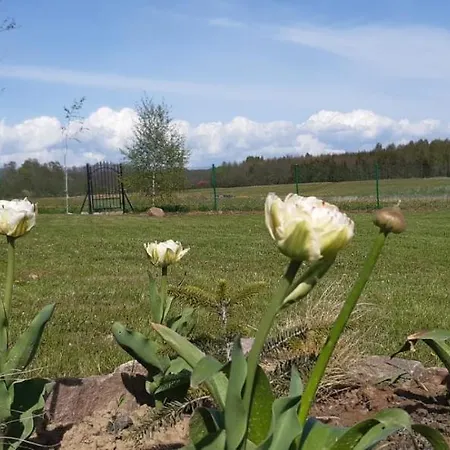 Σπίτι διακοπών Zacisze Pod Brzozami Kętrzyn