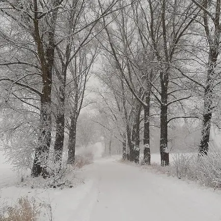 Zacisze Pod Brzozami Σπίτι διακοπών