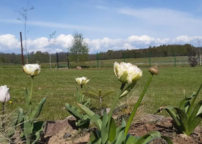 Holiday home Zacisze Pod Brzozami Ketrzyn